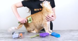 5 Benefits of Using a De-shedding Brush for Your Cat
